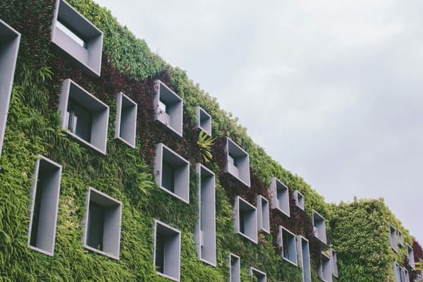 architettura sostenibile, edificio con facciata verde