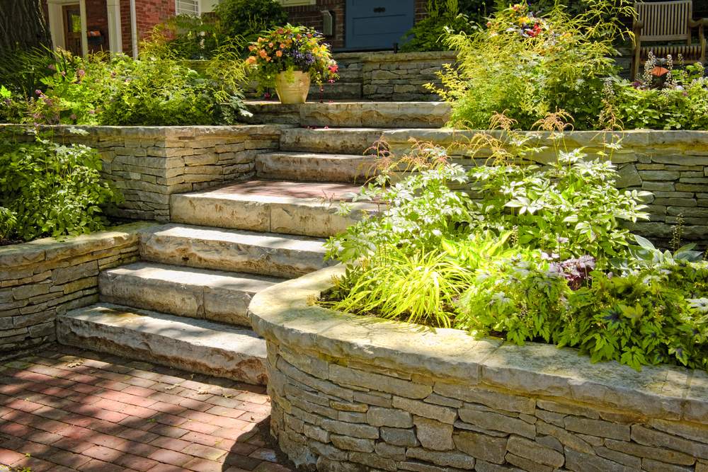 low maintenance plants