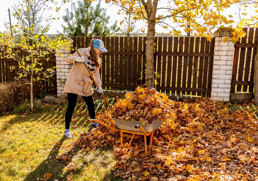 garden design ideas