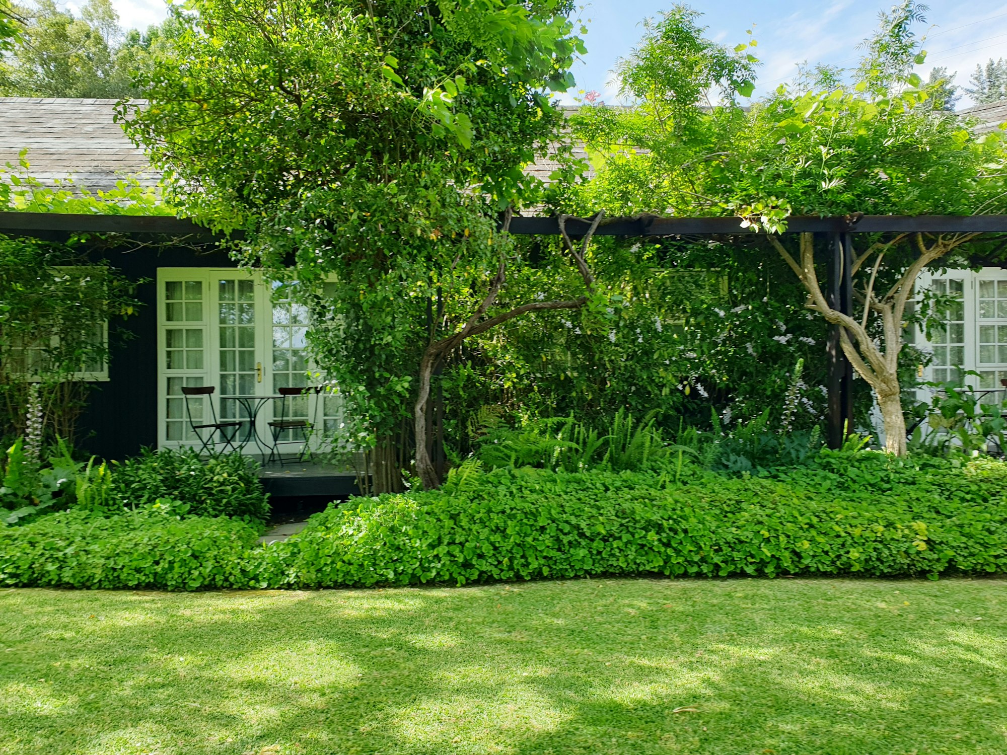 front yard with trees