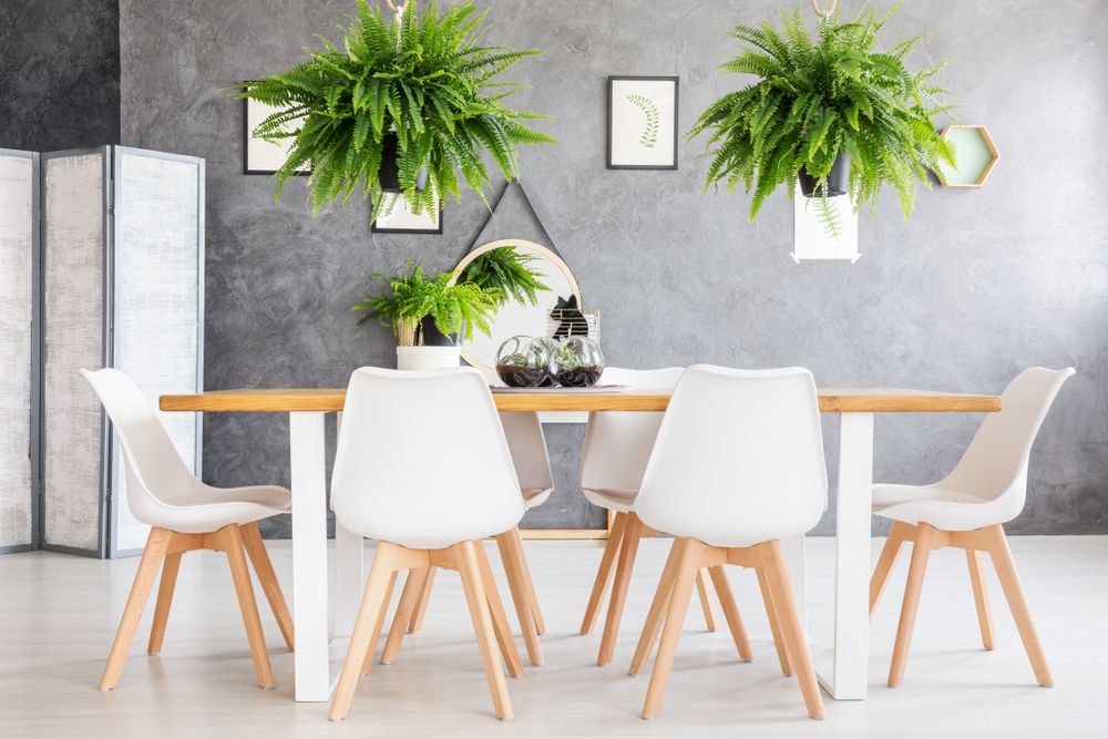design an eco friendly home