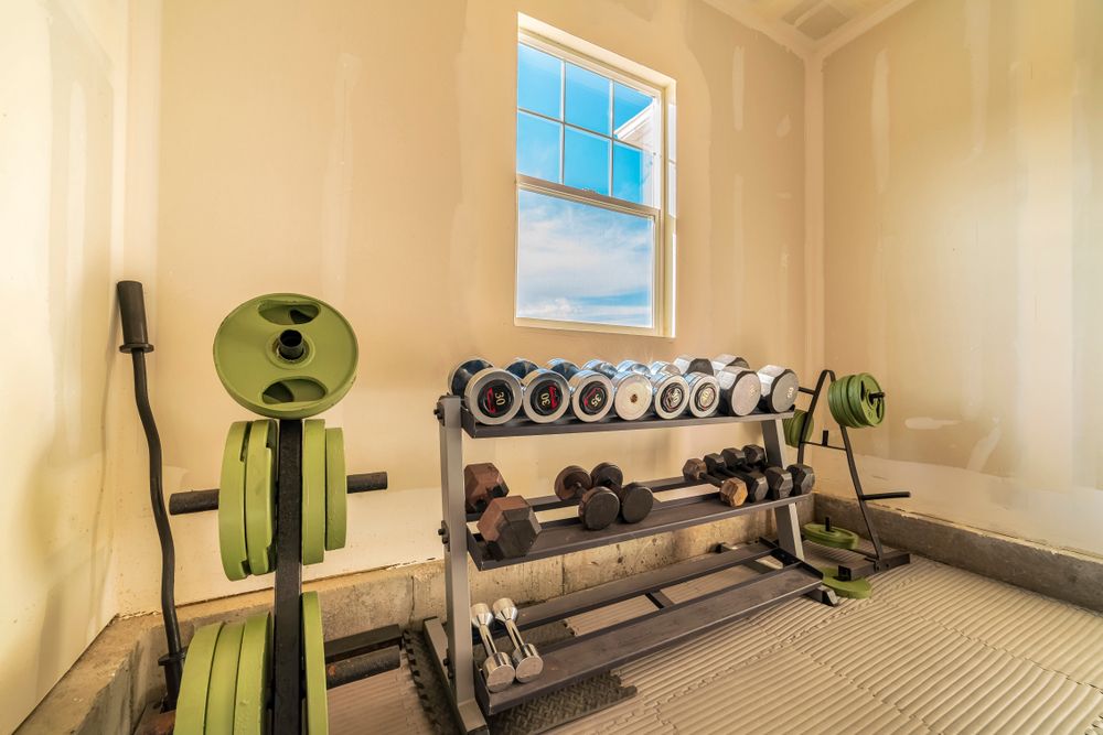  free weights for weightlifting in garage