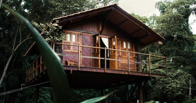 treehouse ideas for your next project